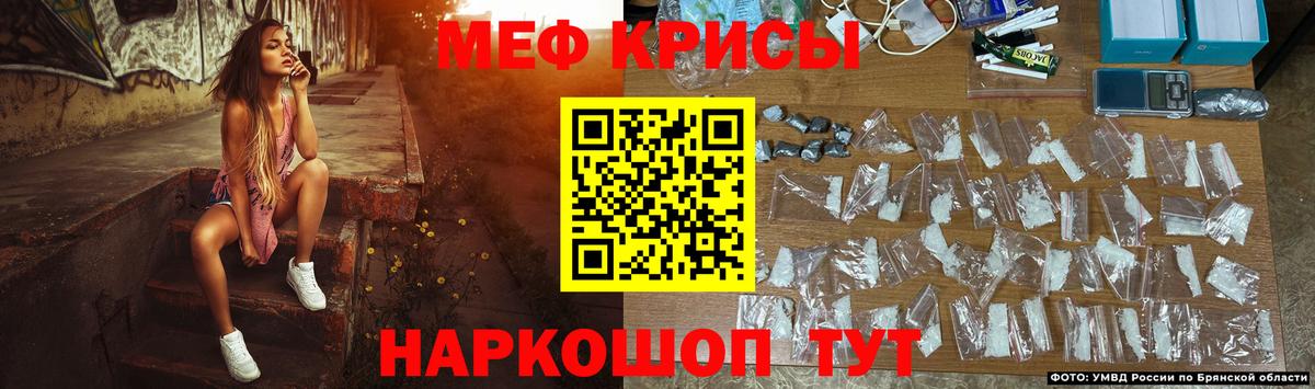 МЕФ Тула